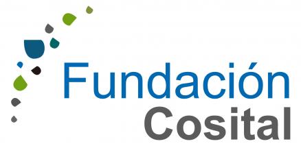 Logo_Fundacion_Cosital-01